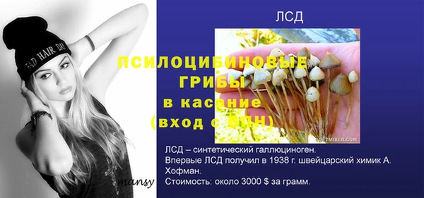 дживик Надым