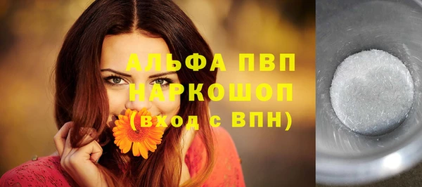 дживик Надым