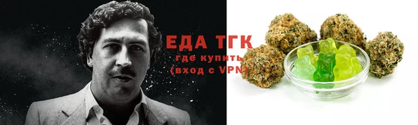 дживик Надым