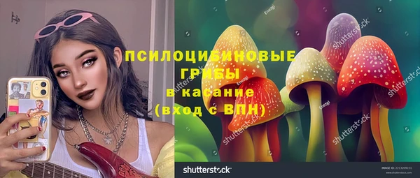дживик Надым