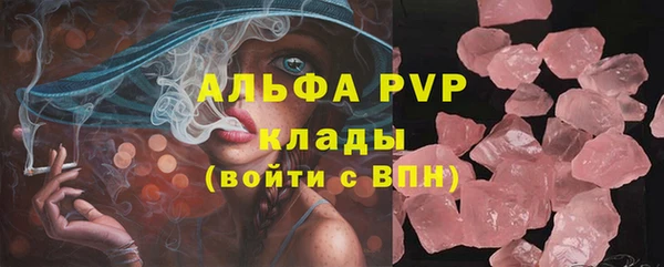 дживик Надым
